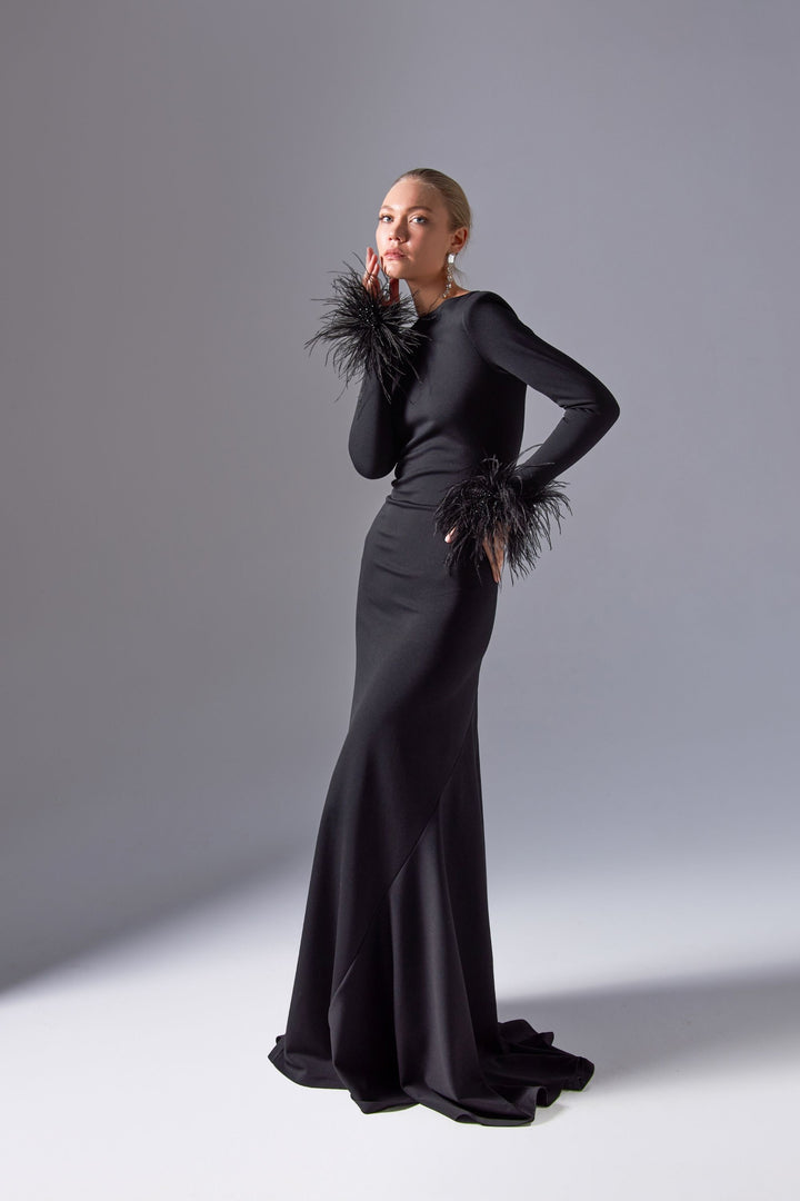 Long-Sleeved Train Dress with Feather Details